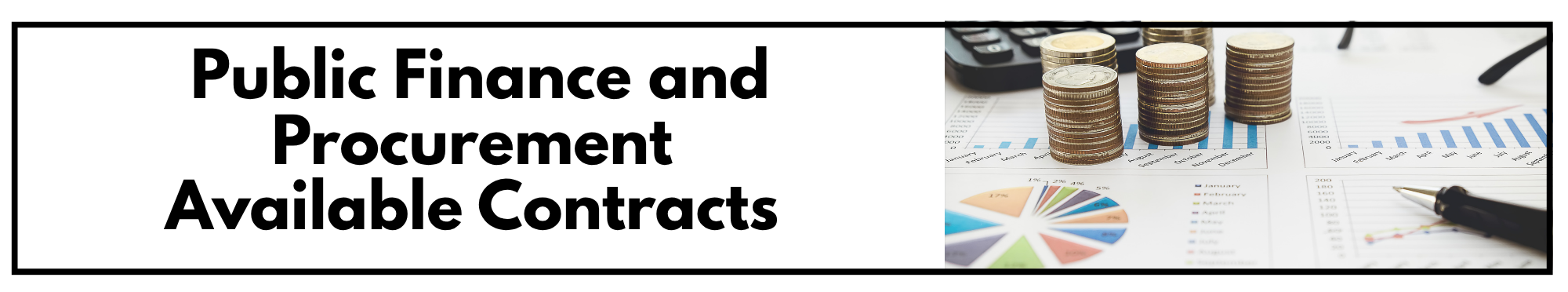 Public Finance and Procurement Banner